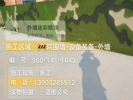 红桥 迷彩漆喷涂价格（按平方米计费）